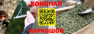 сатива Камень-на-Оби