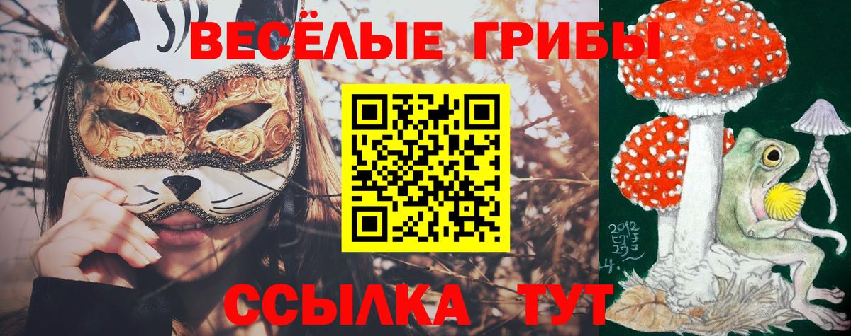Галлюциногенные грибы прущие грибы  Галлюциногенные грибы MAGIC MUSHROOMS  Вход с VPN  Знаменск 