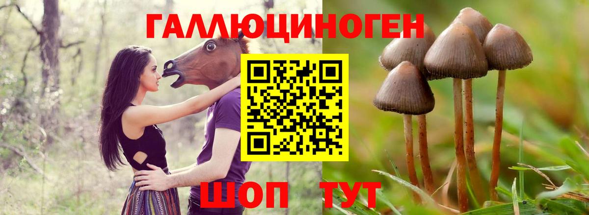 Галлюциногенные грибы GOLDEN TEACHER Знаменск